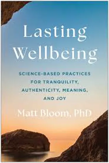Cover of Lasting Wellbeing